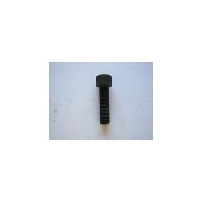 Lely specialbolt M20 x 70 mm